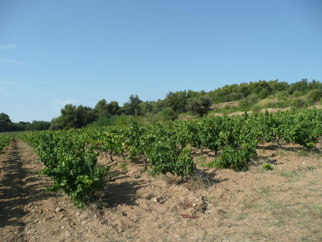 Gite Du Serre De Boudre Climatise, Spa Permanent Buisson المظهر الخارجي الصورة